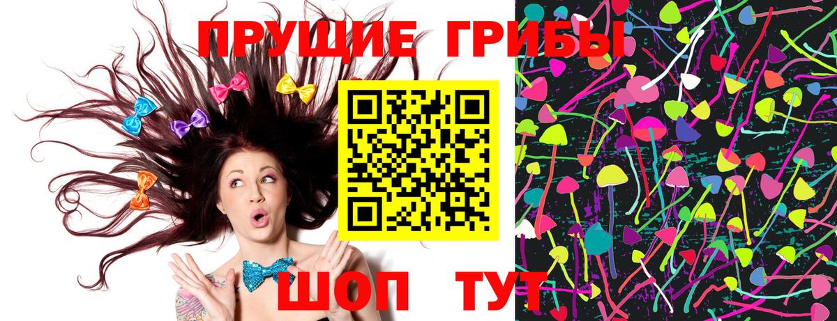 Псилоцибиновые грибы GOLDEN TEACHER Самара