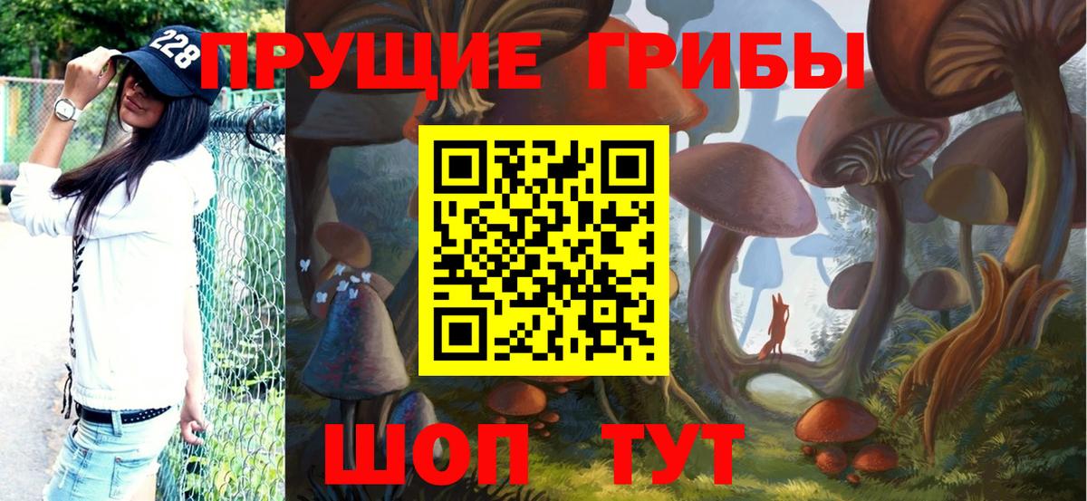 Самара  Галлюциногенные грибы GOLDEN TEACHER  Вход с VPN 